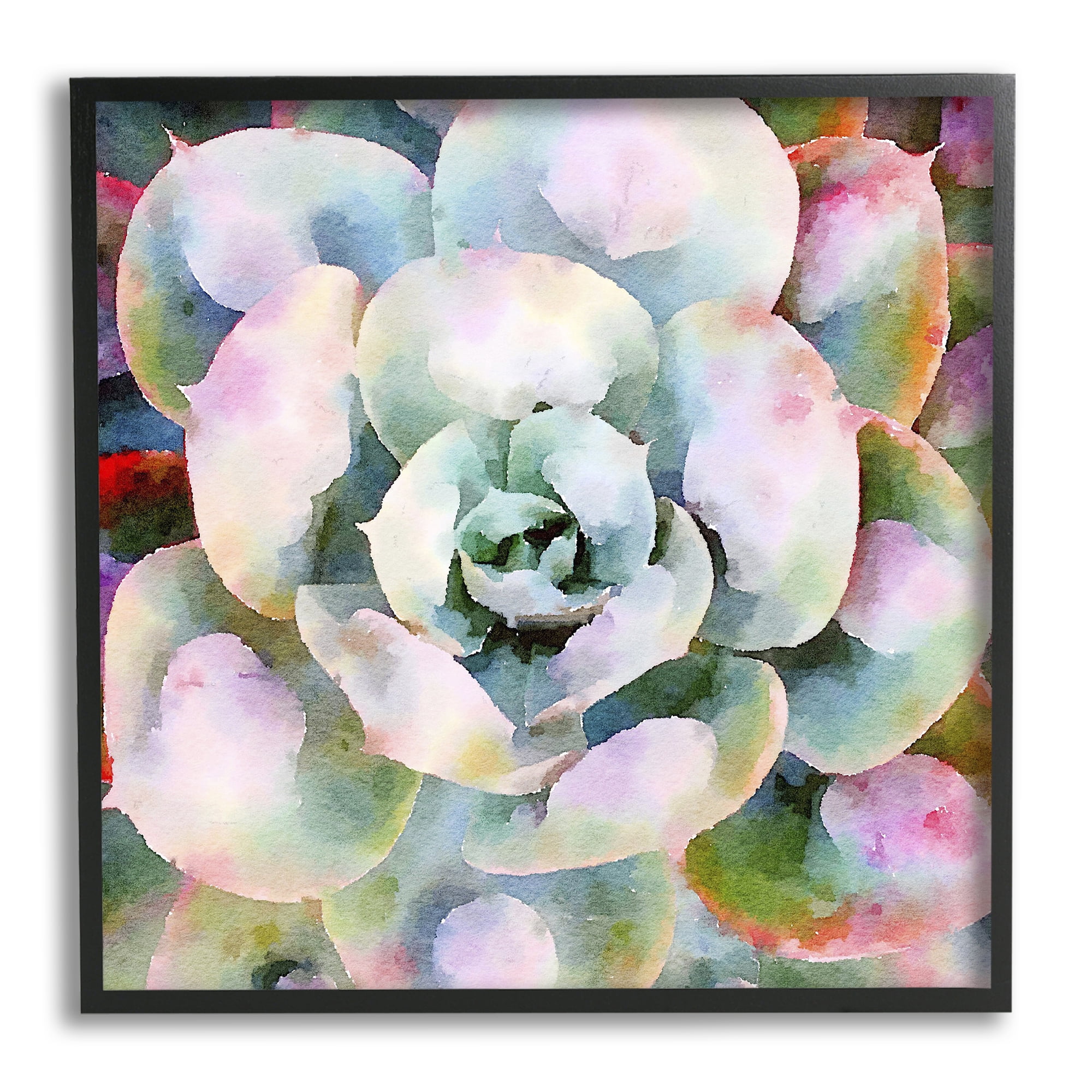 Stupell Industries Succulent Plant Bold Hues Botanical & Floral Painting Black Framed Art Print Wall Art
