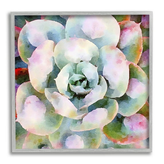 Stupell Industries Succulent Plant Bold Hues Botanical & Floral Painting Gray Framed Art Print Wall Art