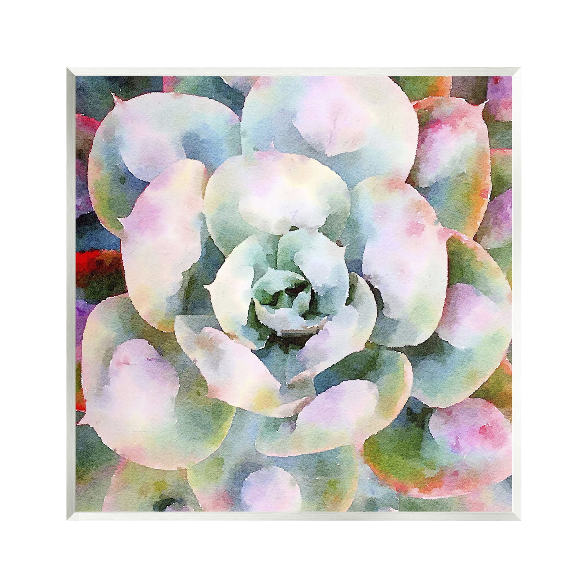 Stupell Industries Succulent Plant Bold Hues Botanical & Floral Painting Unframed Art Print Wall Art
