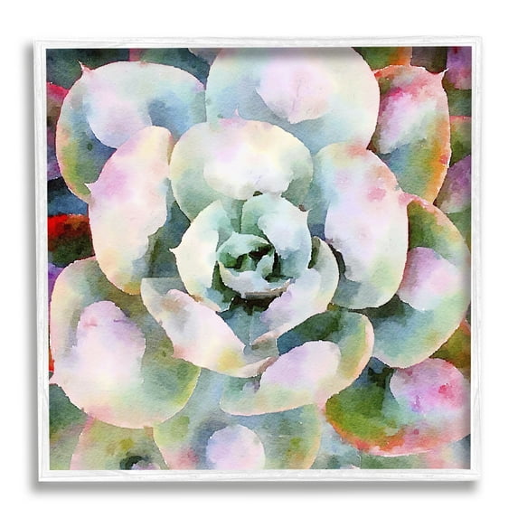 Stupell Industries Succulent Plant Bold Hues Botanical & Floral Painting White Framed Art Print Wall Art