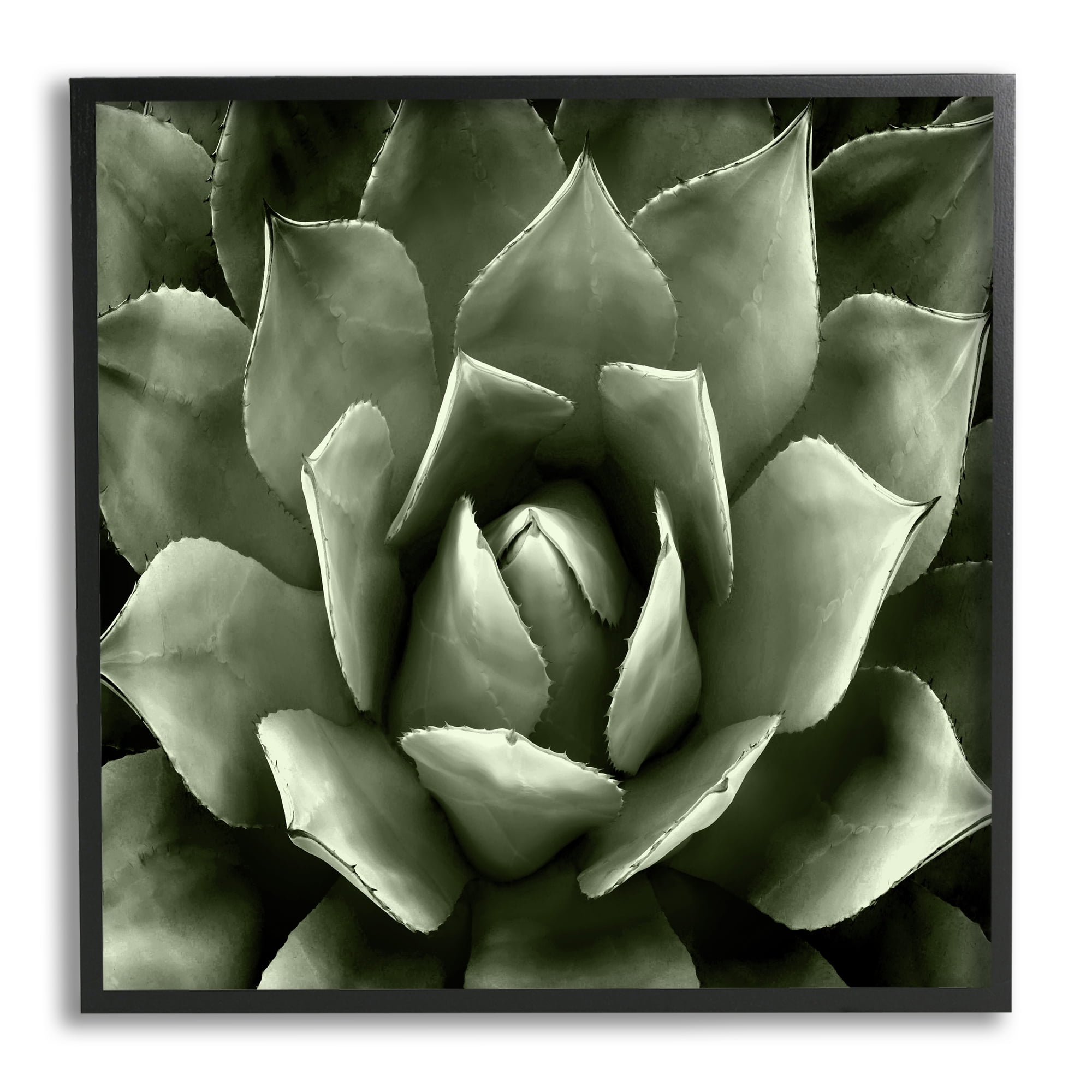 Green Succulent Botanical Canvas Print with Black Frame, 17" x 17"