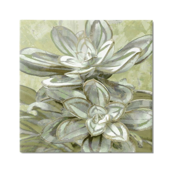 Stupell Industries Succulent Plant Leaves Blooming Botanical & Floral Painting Gallery Wrapped Canvas Print Wall Art