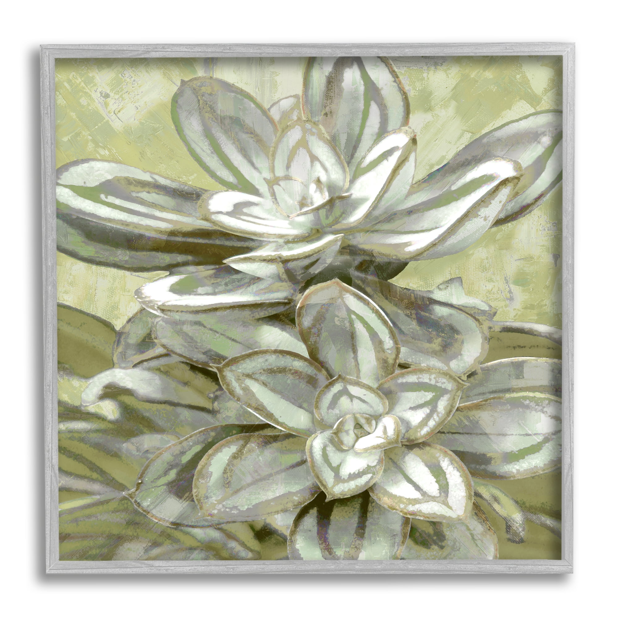 Stupell Industries Succulent Plant Leaves Blooming Botanical & Floral Painting Gray Framed Art Print Wall Art