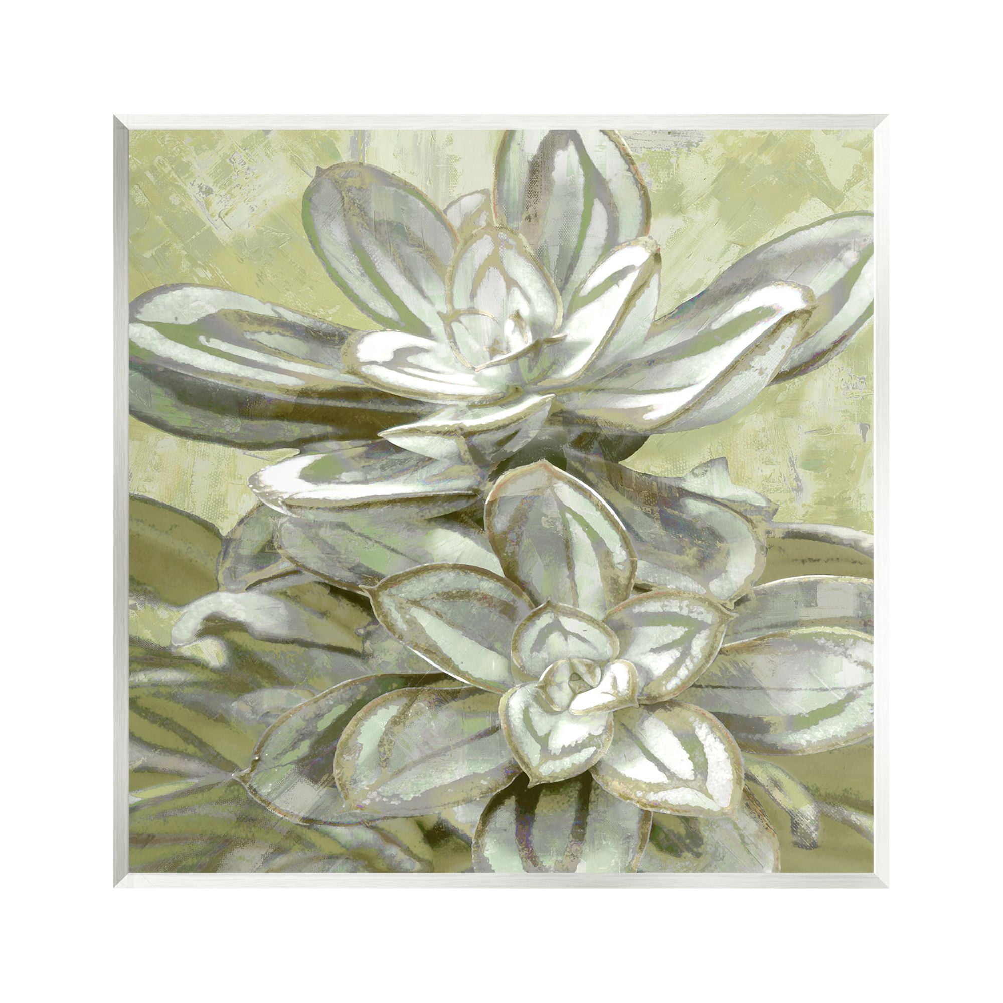 Stupell Industries Succulent Plant Leaves Blooming Botanical & Floral Painting Unframed Art Print Wall Art