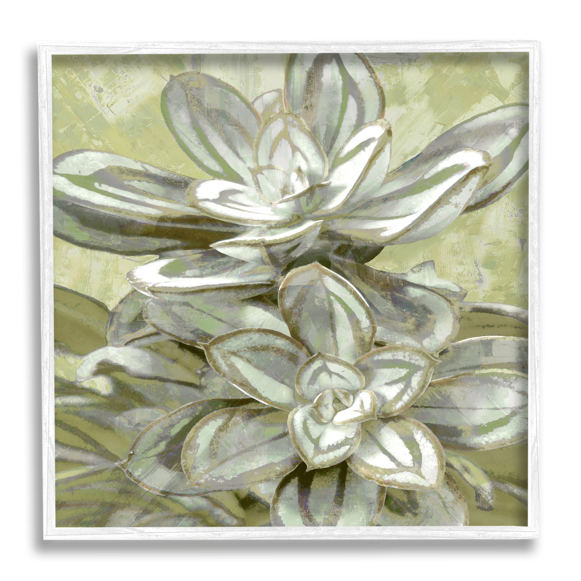 Stupell Industries Succulent Plant Leaves Blooming Botanical & Floral Painting White Framed Art Print Wall Art