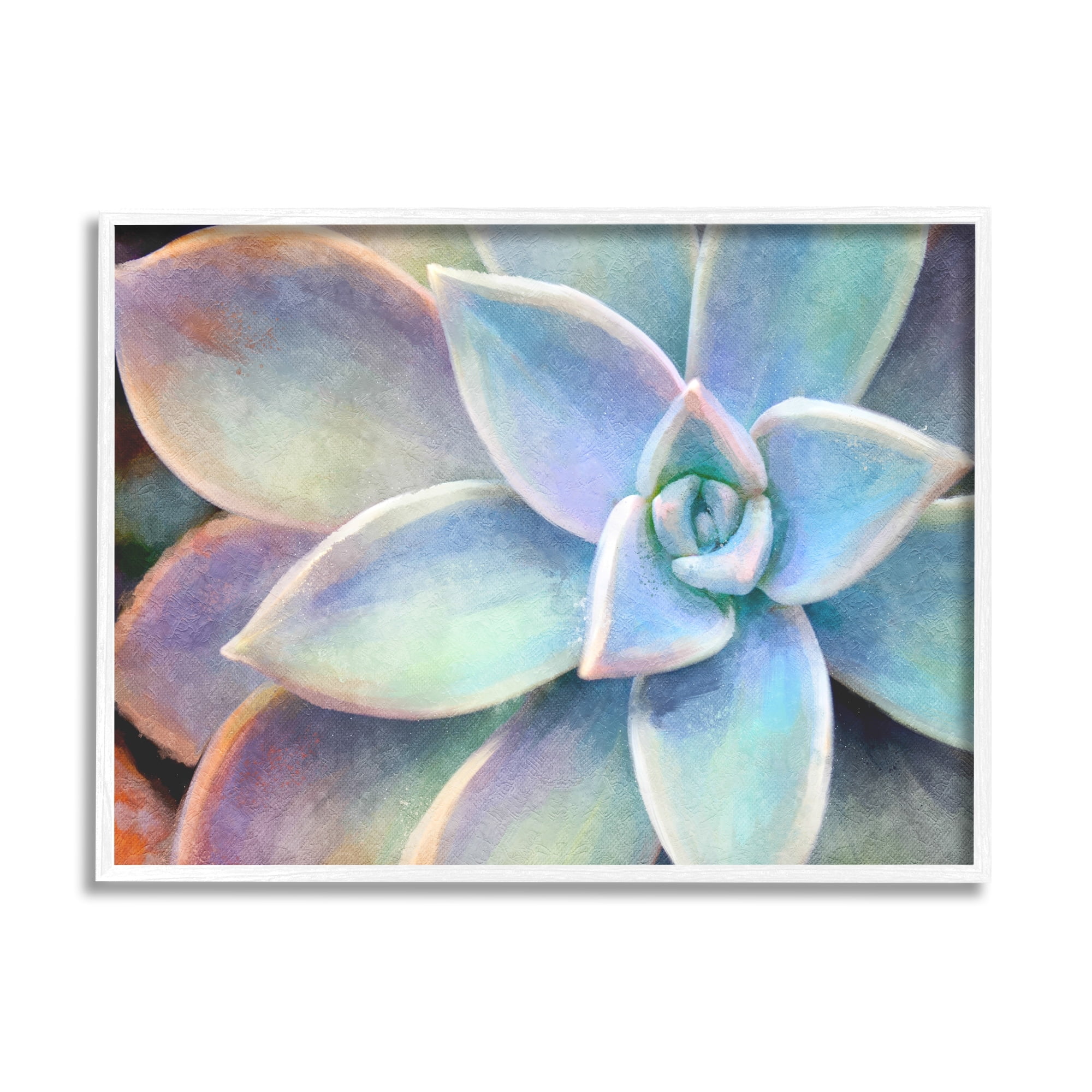Stupell Industries Succulent Plant Vibrant Bloom Painting, 24 x 30,Design by Joshua Chace