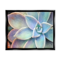 Stupell Industries Succulent Plant Vibrant Bloom Painting Jet Black Framed Floating Canvas Wall Art, 16x20, by Joshua Chace