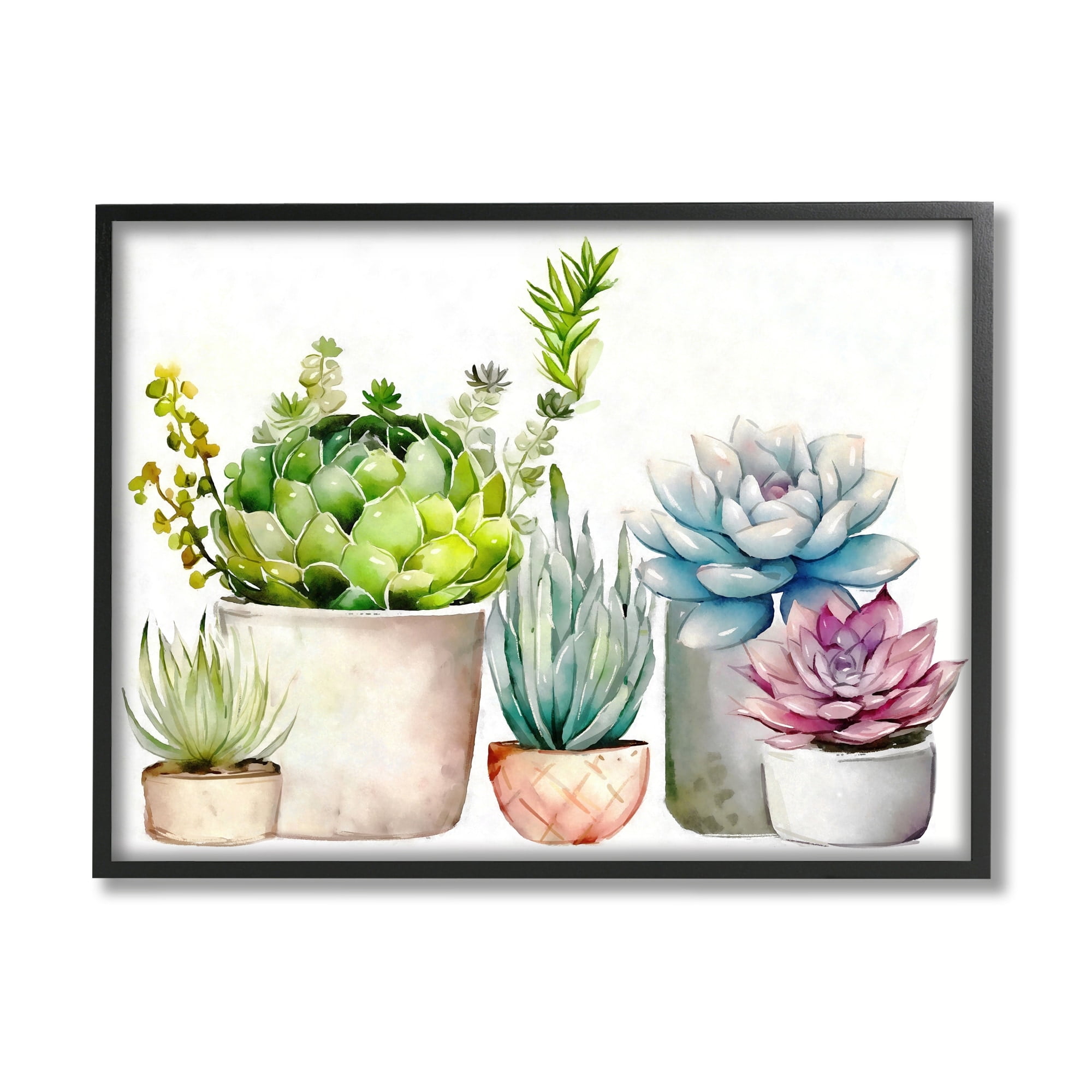 Stupell Industries Succulent Plants Floral Nature Botanical & Floral Painting Black Framed Art Print Wall Art