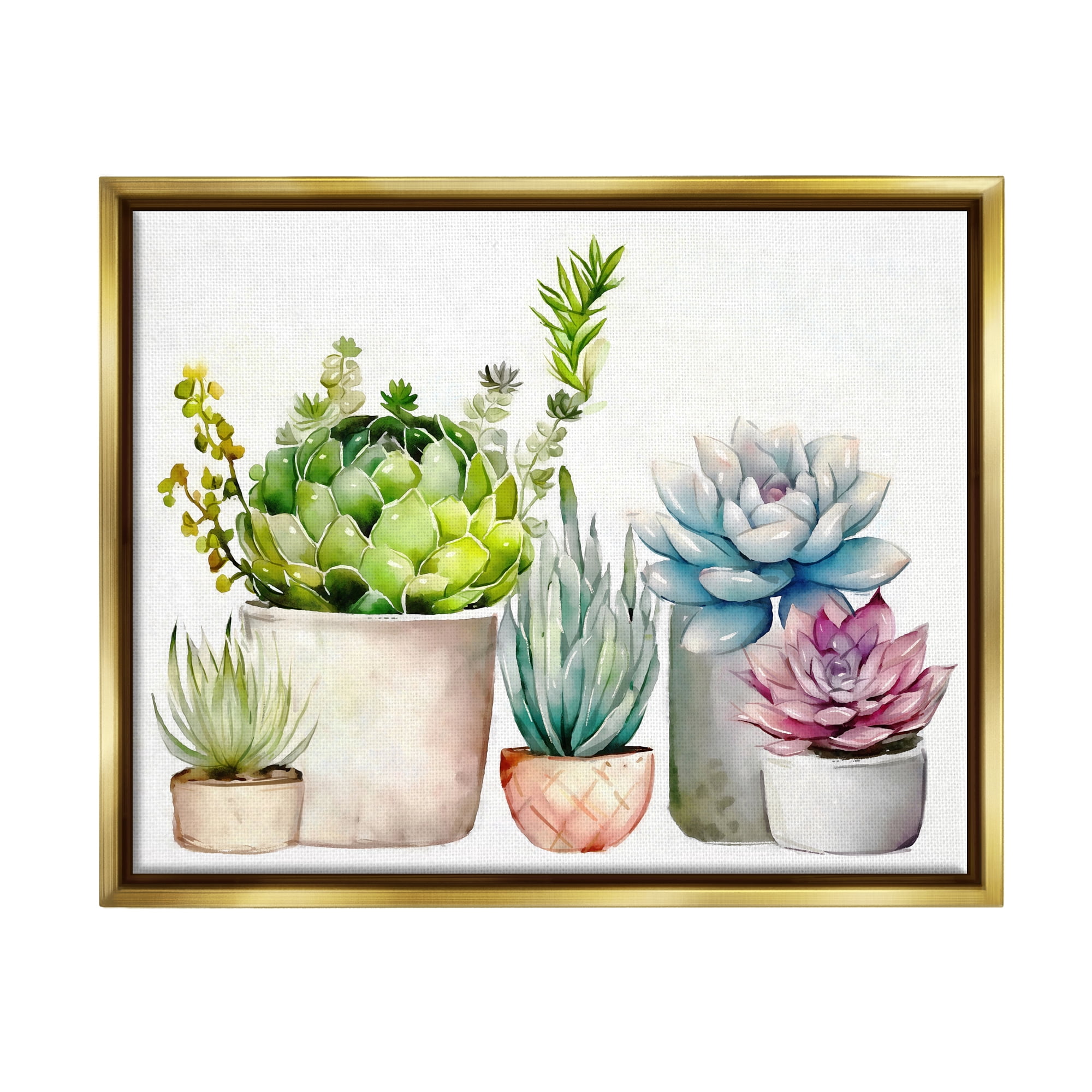 Stupell Industries Succulent Plants Floral Nature Botanical & Floral Painting Gold Floater Framed Art Print Wall Art
