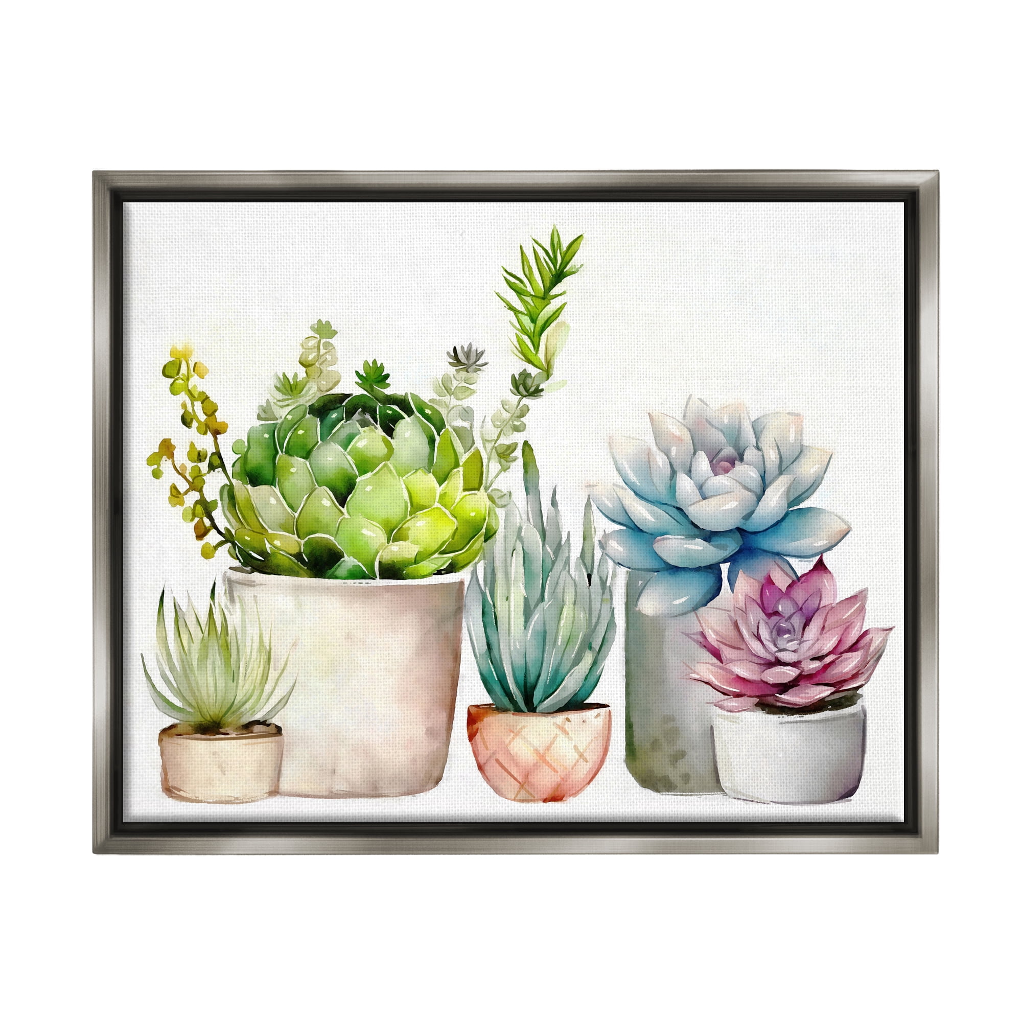 Stupell Industries Succulent Plants Floral Nature Botanical & Floral Painting Gray Floater Framed Art Print Wall Art