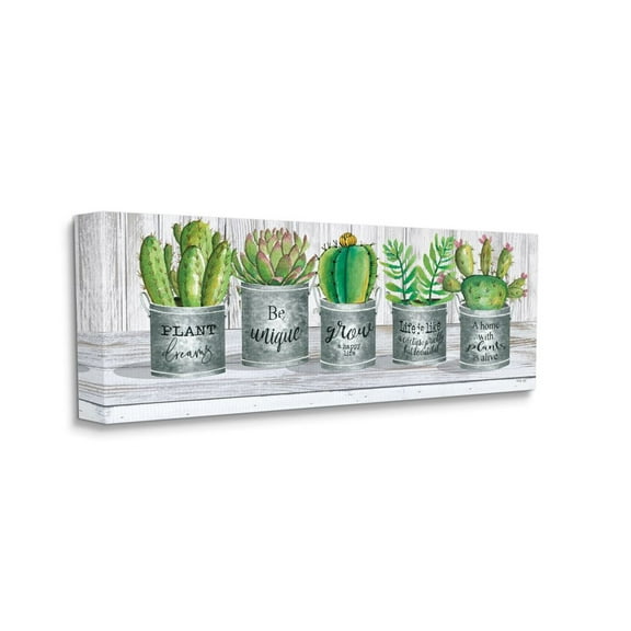 Stupell Industries Succulent and Cactus Jars with Plant Life Puns Canvas Wall Art Design by Cindy Jacobs, 10" x 24"