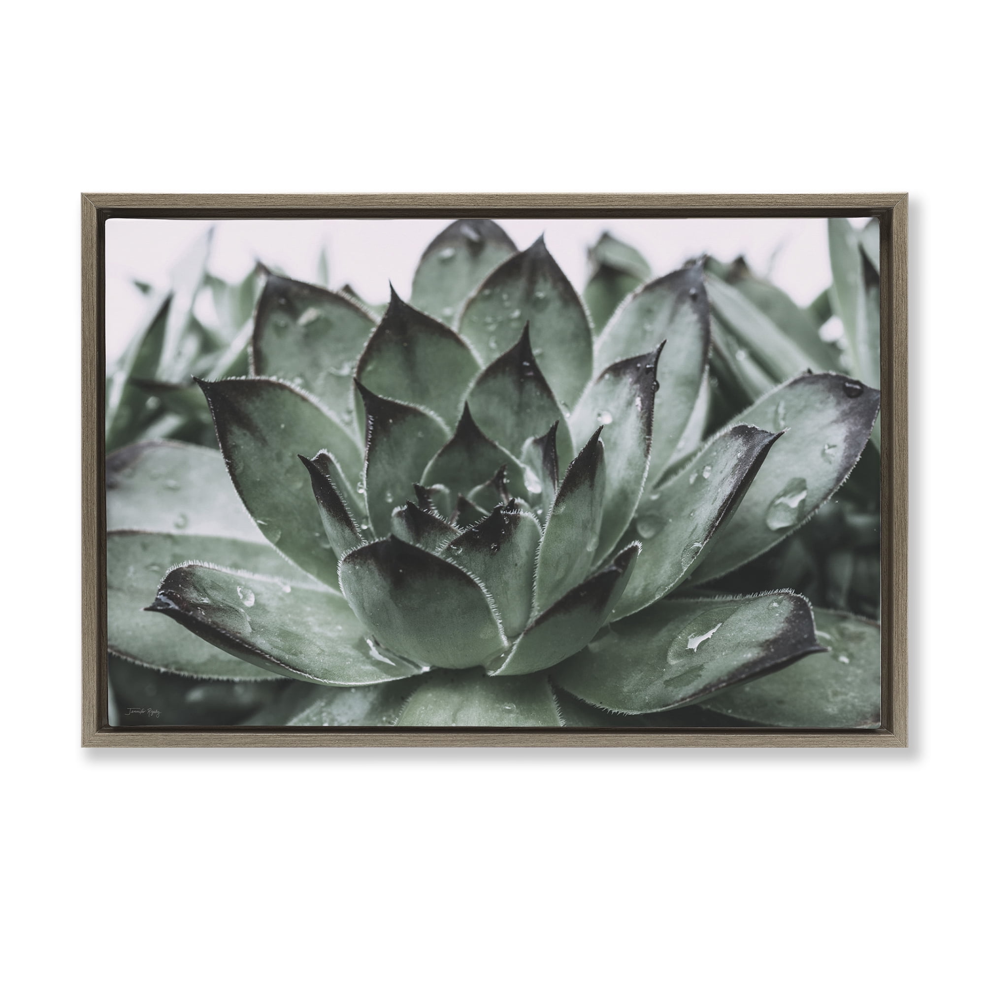 Stupell Industries Succulent with Rain Droplets Plants & Flowers Painting Brown Floater Framed Canvas Art Print Wall Art, 31 x 21