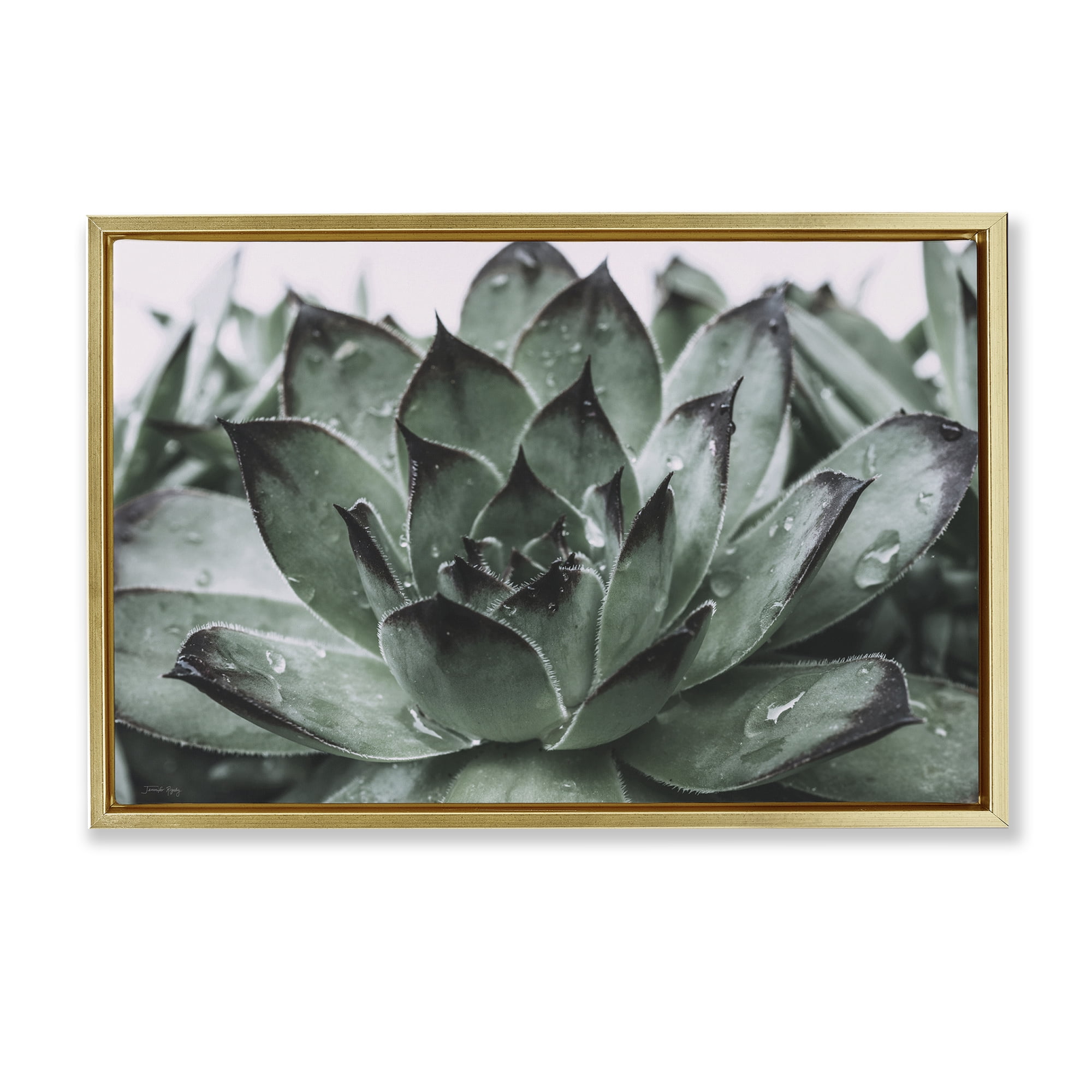 Stupell Industries Succulent with Rain Droplets Plants & Flowers Painting Gold Floater Framed Canvas Art Print Wall Art, 25 x 17