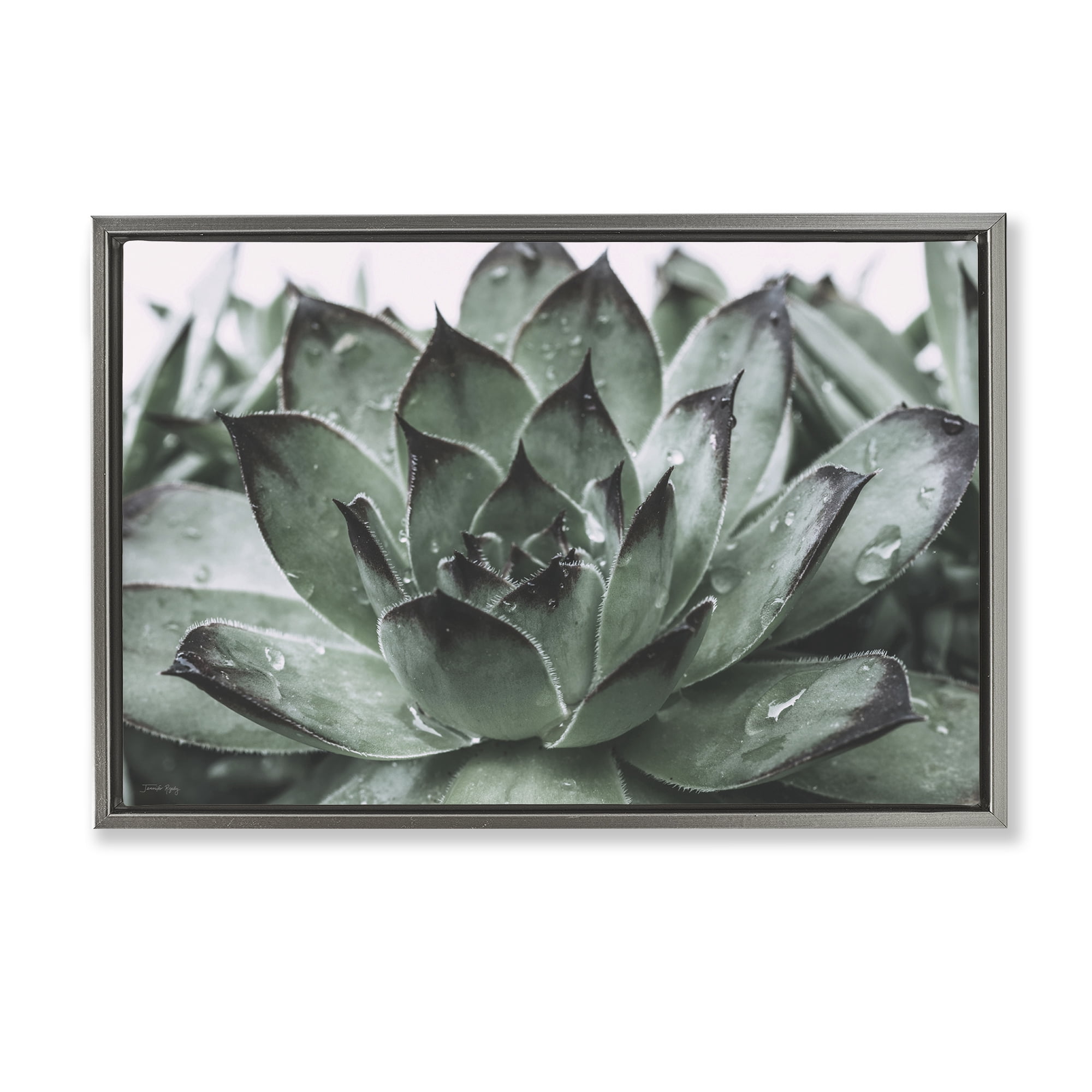 Stupell Industries Succulent with Rain Droplets Plants & Flowers Painting Gray Floater Framed Canvas Art Print Wall Art, 25 x 17