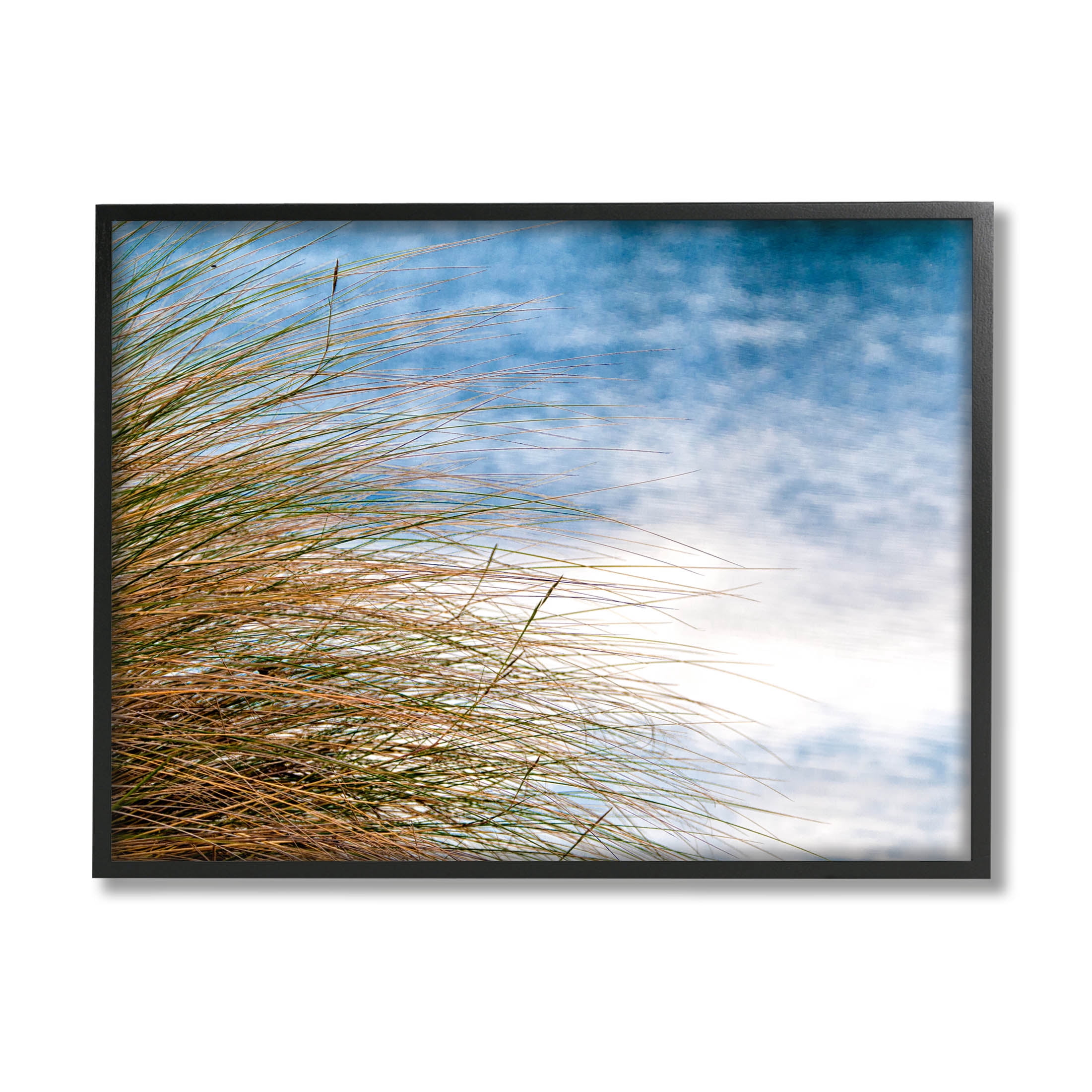 Stupell Industries Summer Beach Reed Grass Photography Photograph Black Framed Art Print Wall Art, Design by Mary Lou Photography