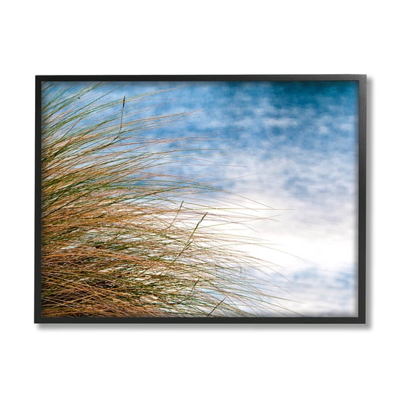Stupell Industries Summer Beach Reed Grass Photography Photograph Black Framed Art Print Wall Art, Design by Mary Lou Photography