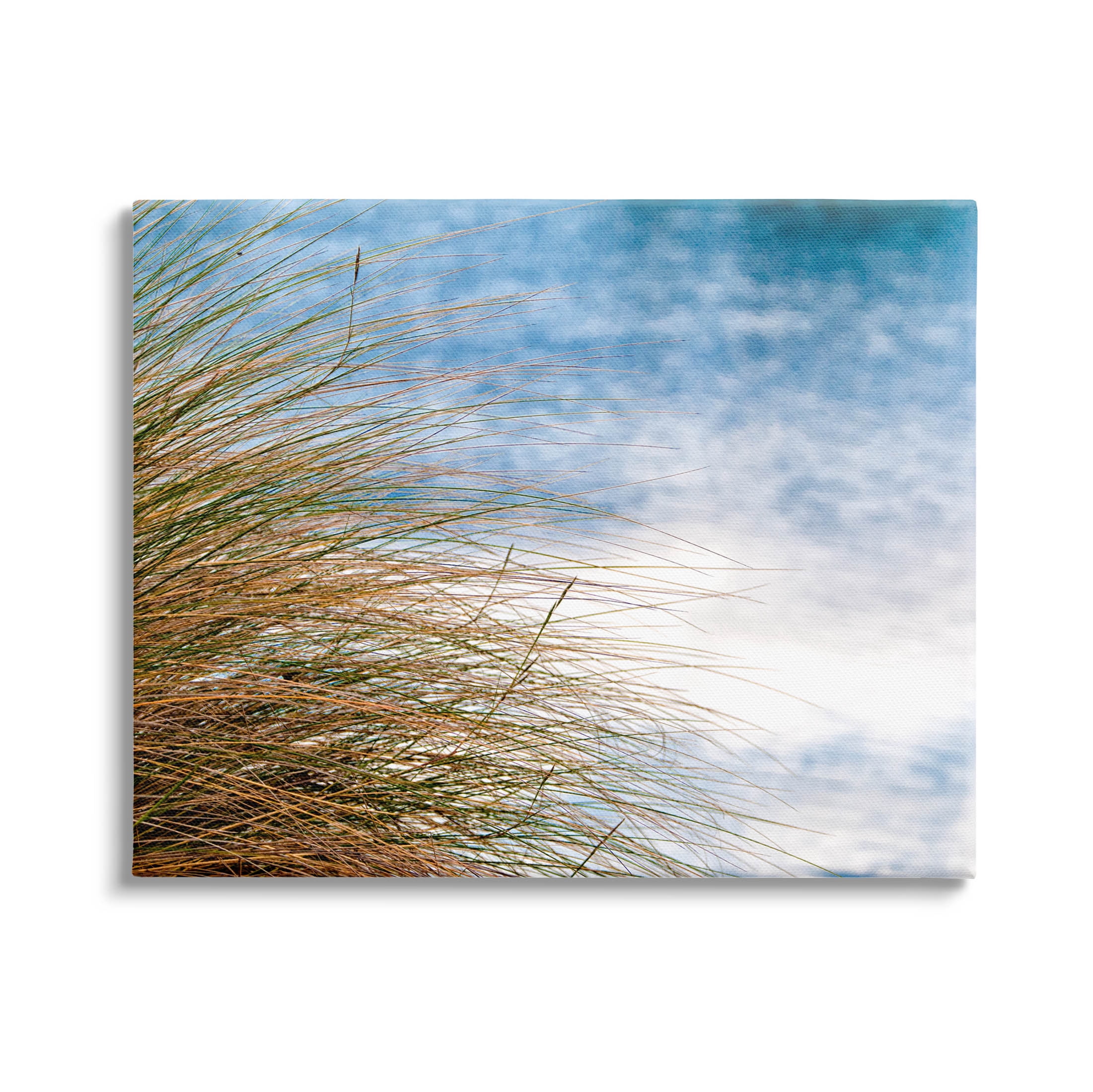 Stupell Industries Summer Beach Reed Grass Photography Photograph Gallery Wrapped Canvas Print Wall Art, Design by Mary Lou Photography