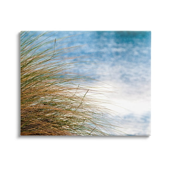 Stupell Industries Summer Beach Reed Grass Photography Photograph Gallery Wrapped Canvas Print Wall Art, Design by Mary Lou Photography