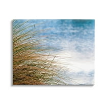 Stupell Industries Summer Beach Reed Grass Photography Photograph Gallery Wrapped Canvas Print Wall Art, Design by Mary Lou Photography
