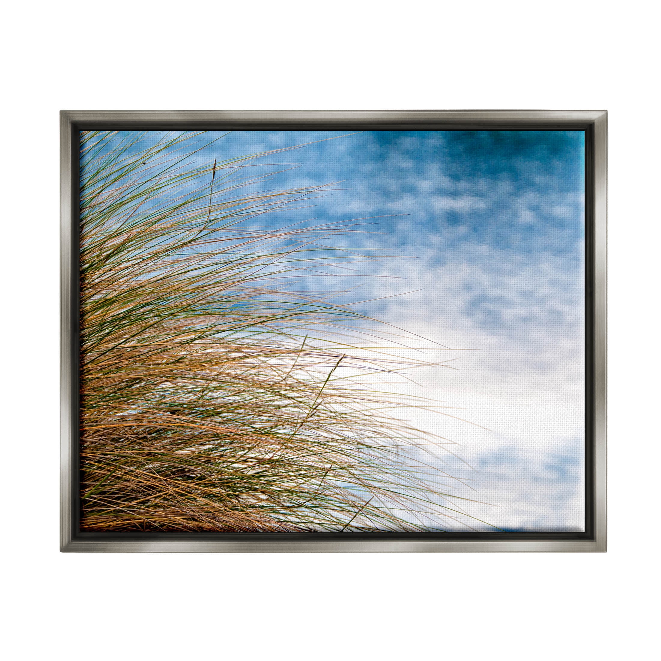 Stupell Industries Summer Beach Reed Grass Photography Photograph Luster Gray Floating Framed Canvas Print Wall Art, Design by Mary Lou Photography