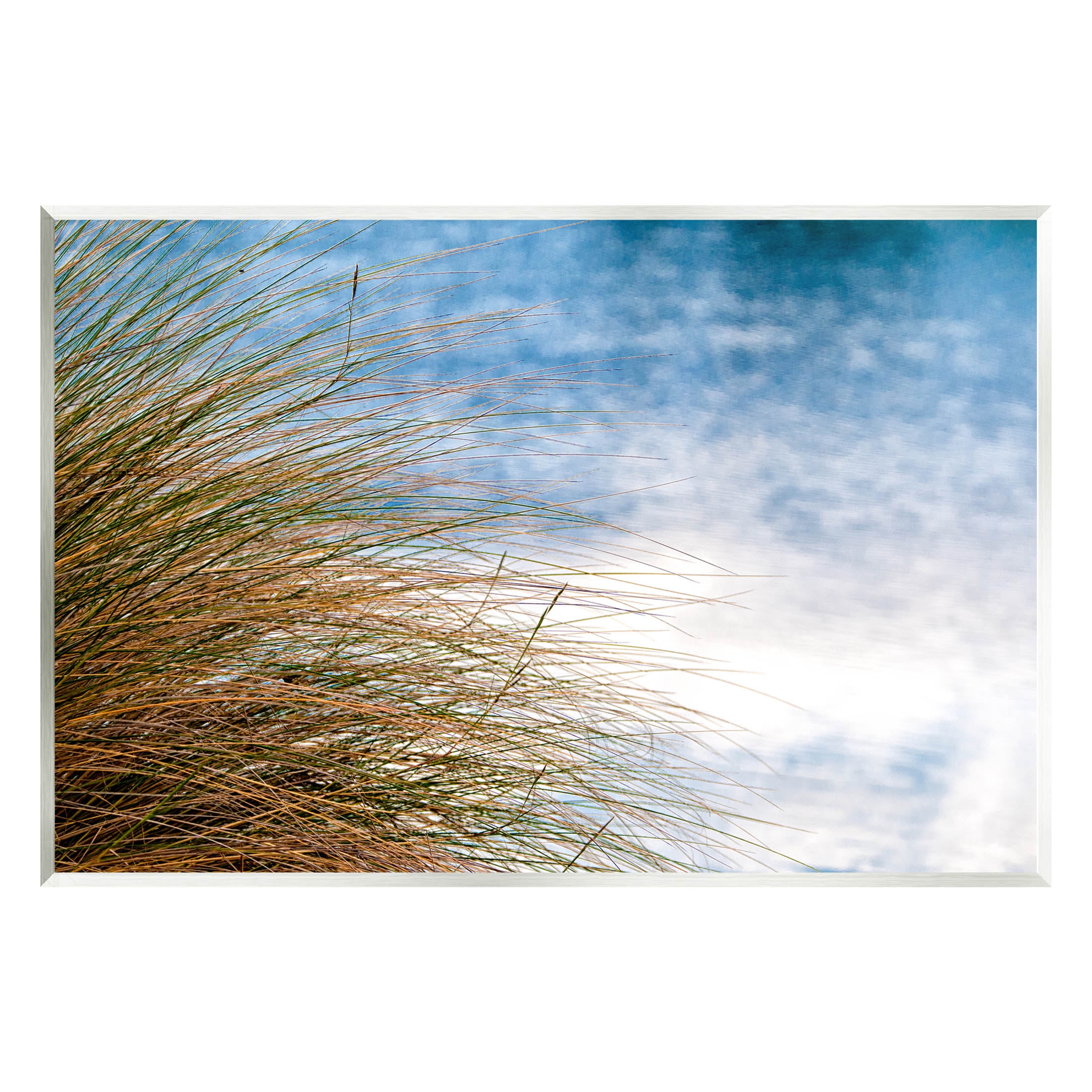 Stupell Industries Summer Beach Reed Grass Photography Photograph Unframed Art Print Wall Art, Design by Mary Lou Photography