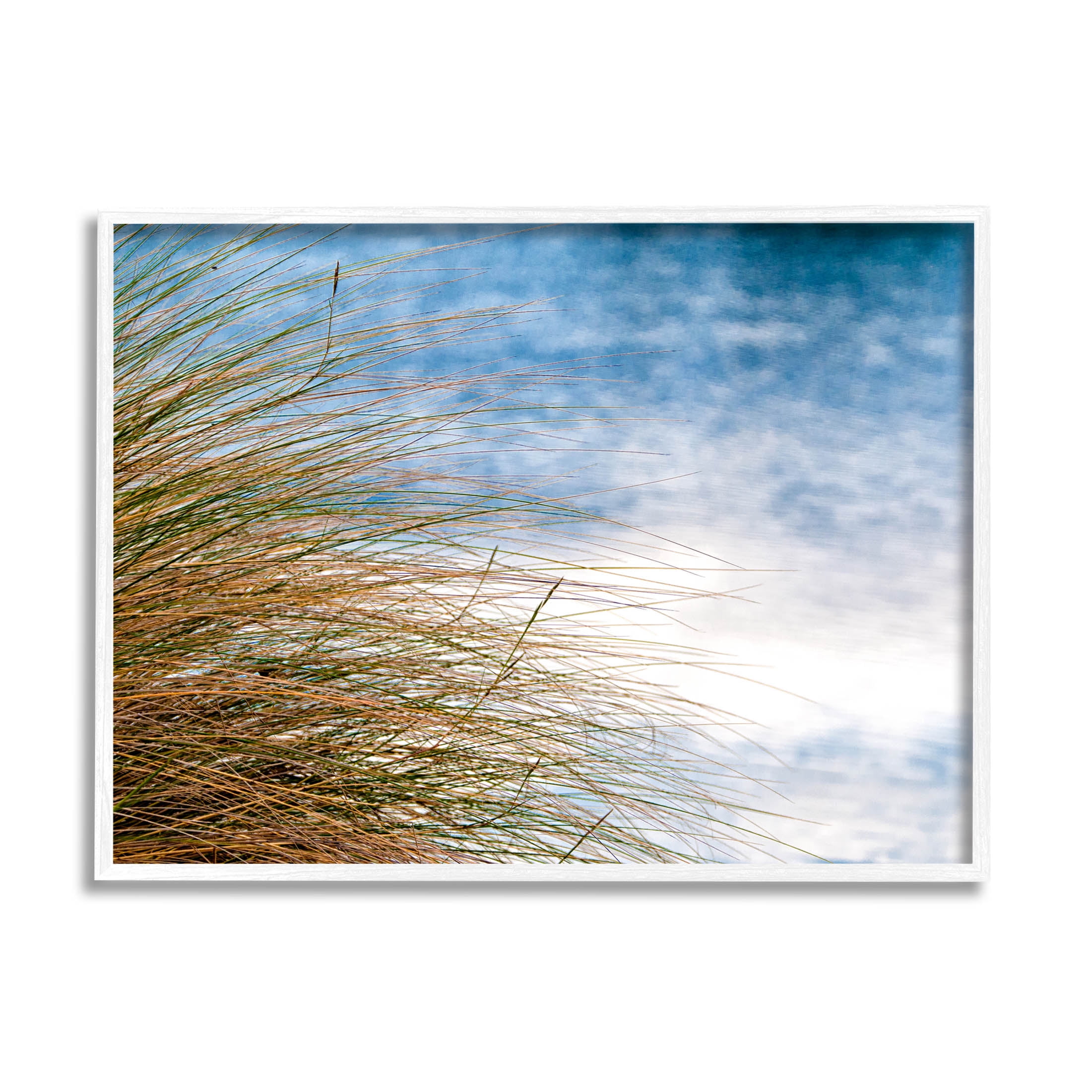Stupell Industries Summer Beach Reed Grass Photography Photograph White Framed Art Print Wall Art, Design by Mary Lou Photography