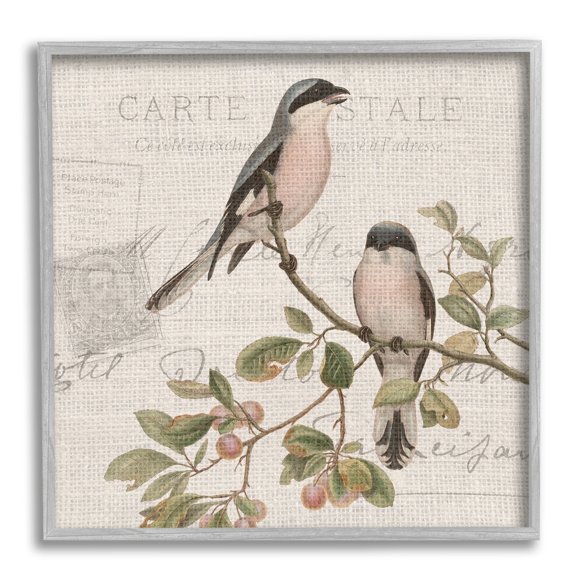 Stupell Industries Summer Birds Tree Branch Antique European Postal Pattern, 12 x 12, Design by Kim Allen