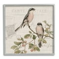 thumbnail image 1 of Stupell Industries Summer Birds Tree Branch Antique European Postal Pattern, 12 x 12, Design by Kim Allen, 1 of 7