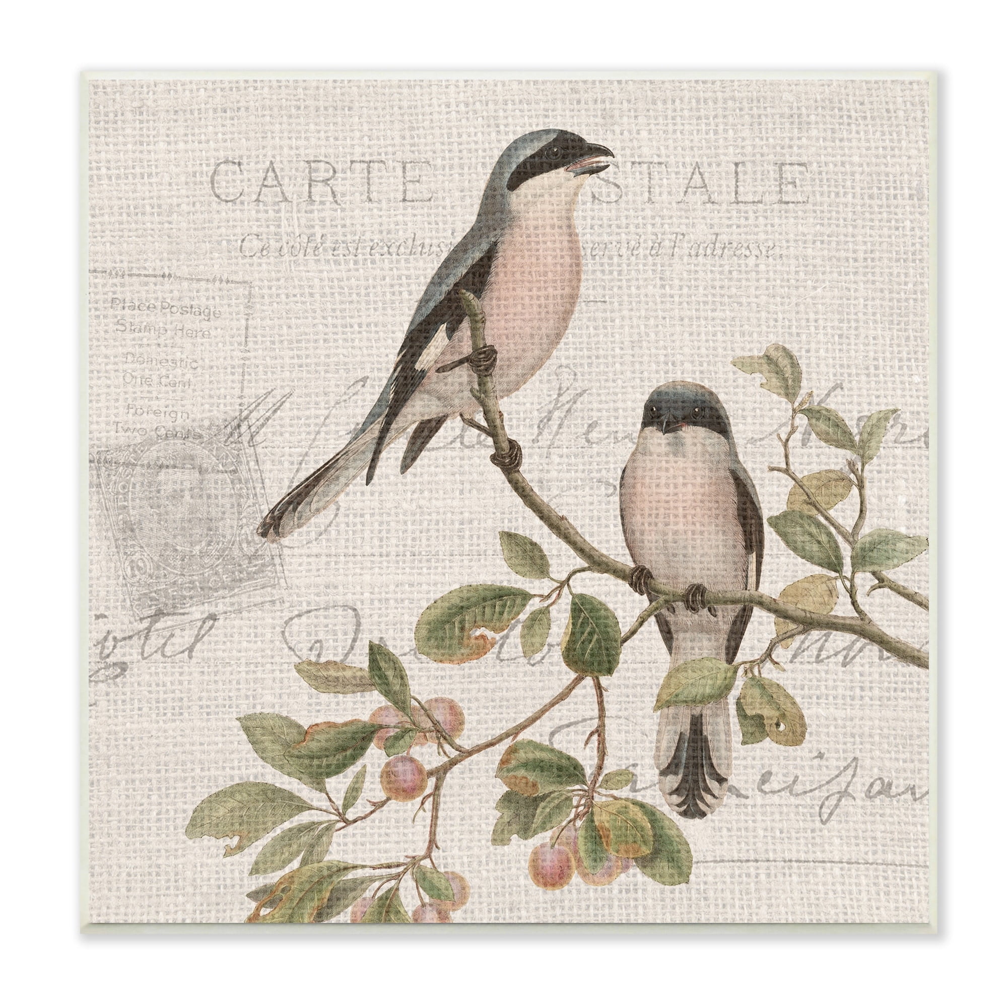Stupell Industries Summer Birds Tree Branch Antique European Postal Pattern, 12 x 12, Design by Kim Allen