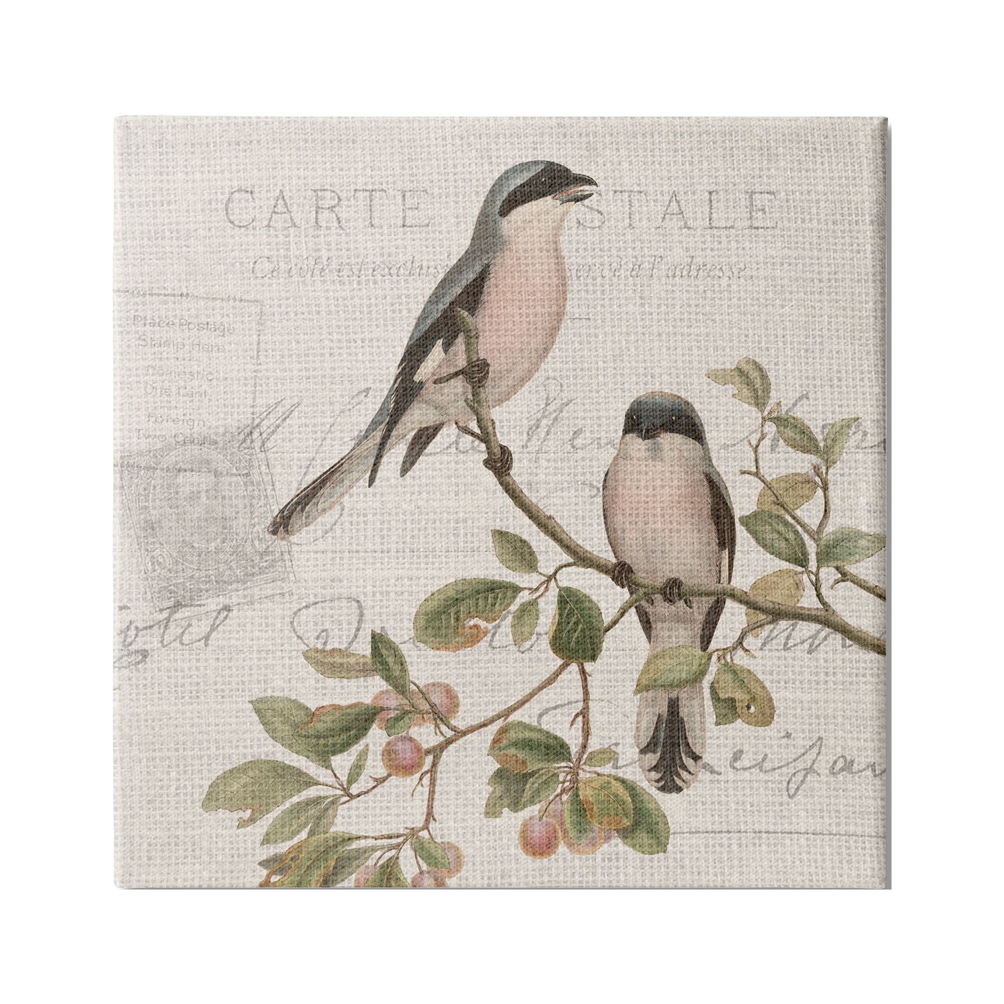 Stupell Industries Summer Birds Tree Branch Antique European Postal Pattern, 17 x 17, Design by Kim Allen