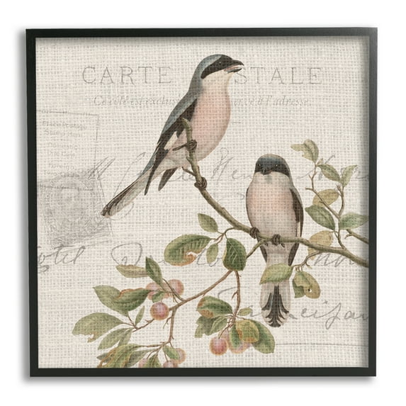 Stupell Industries Summer Birds Tree Branch Antique European Postal Pattern, 24 x 24, Design by Kim Allen