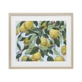 thumbnail image 1 of Stupell Industries French Country Summer Citrus Tree Birch Framed Print Under Glass, 21 x 17, by June Erica Vess, 1 of 8