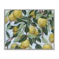 thumbnail image 1 of Stupell Industries French Country Summer Citrus Tree Gray Framed Giclee Art, 20 x 16, by June Erica Vess, 1 of 8