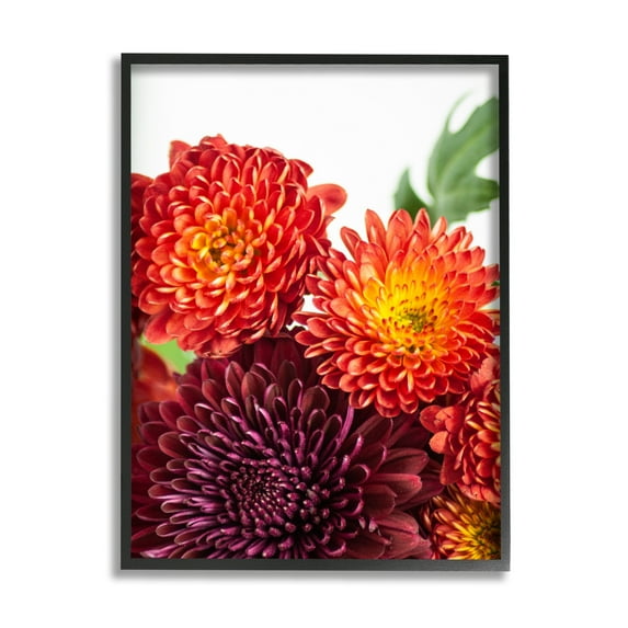 Stupell Industries Summer Dahlia Flower Trio Red Purple Floral Photography, 24 x 30,Design by Nick Saez