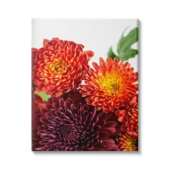 Stupell Industries Summer Dahlia Flower Trio Red Purple Floral Photography, 24 x 30,Design by Nick Saez