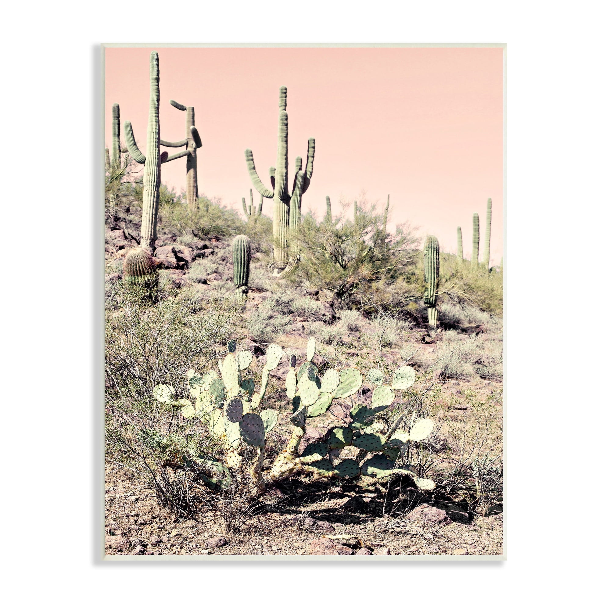 Stupell Industries Summer Dessert Landscape Cactus Prickly Pear Pink Sky, 10 x 15, Design by Susan Bryant
