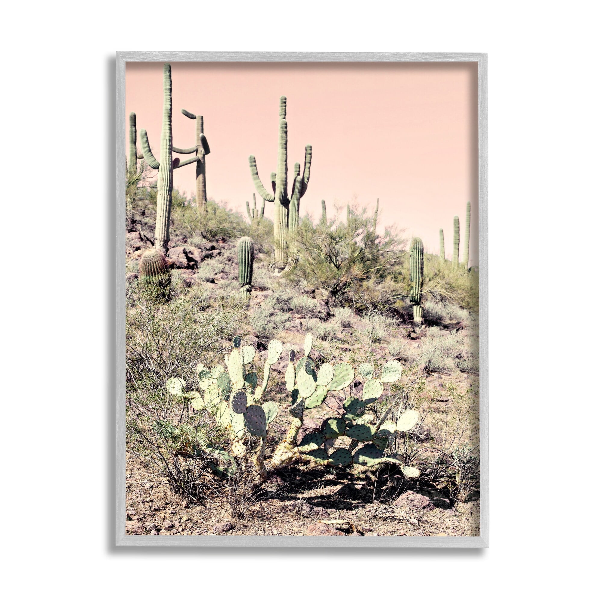 Stupell Industries Summer Dessert Landscape Cactus Prickly Pear Pink Sky, 11 x 14, Design by Susan Bryant