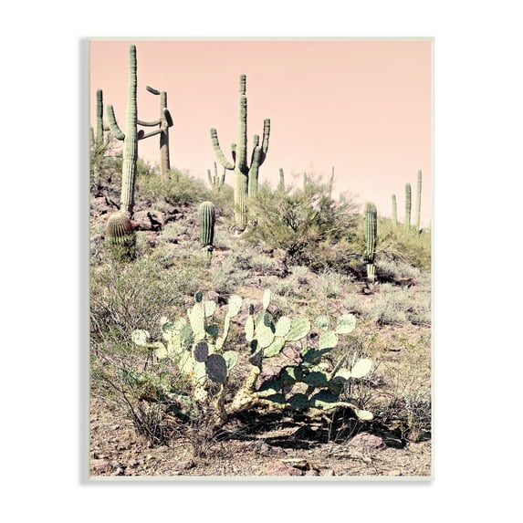 Stupell Industries Summer Dessert Landscape Cactus Prickly Pear Pink Sky, 13 x 19, Design by Susan Bryant