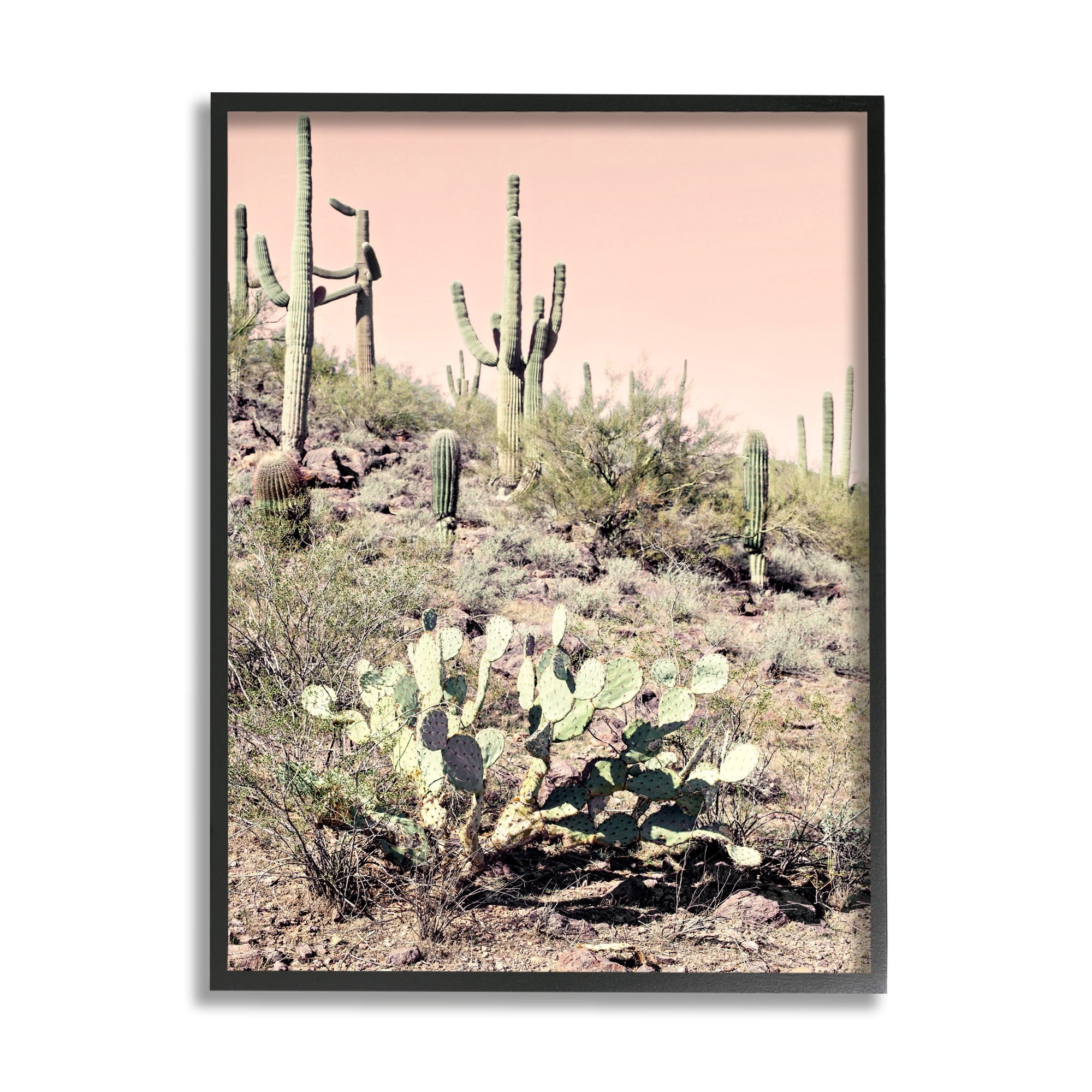 Stupell Industries Summer Dessert Landscape Cactus Prickly Pear Pink Sky, 16 x 20, Design by Susan Bryant