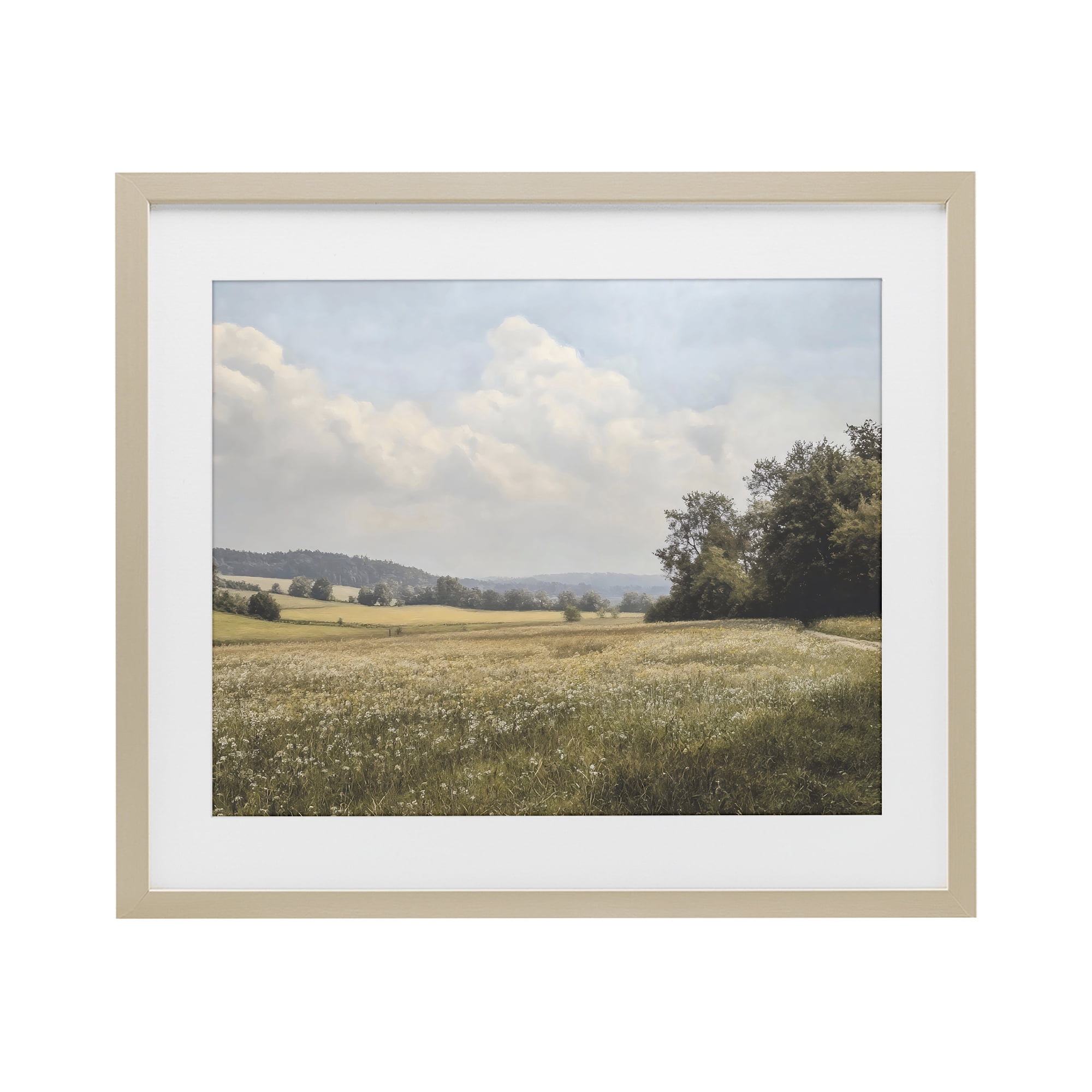 Stupell Industries Summer Landscape Cloudy Meadow Birch Framed Print Under Glass, design by Franklyn Gregory