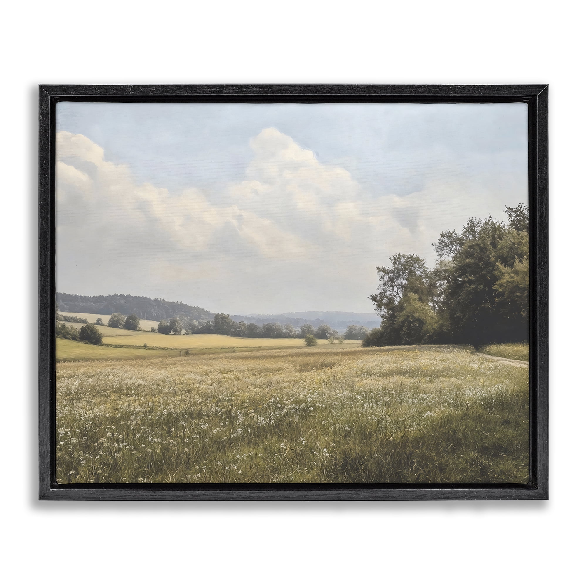 Stupell Industries Summer Landscape Cloudy Meadow Black Framed Floater Canvas Wall Art, design by Franklyn Gregory