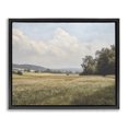 thumbnail image 1 of Stupell Industries Traditional Summer Landscape Cloudy Meadow Black Floating Frame Canvas Art, 21 x 17, by Franklyn Gregory, 1 of 8