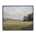 thumbnail image 1 of Stupell Industries Traditional Summer Landscape Cloudy Meadow Black Framed Giclee Art, 14 x 11, by Franklyn Gregory, 1 of 8