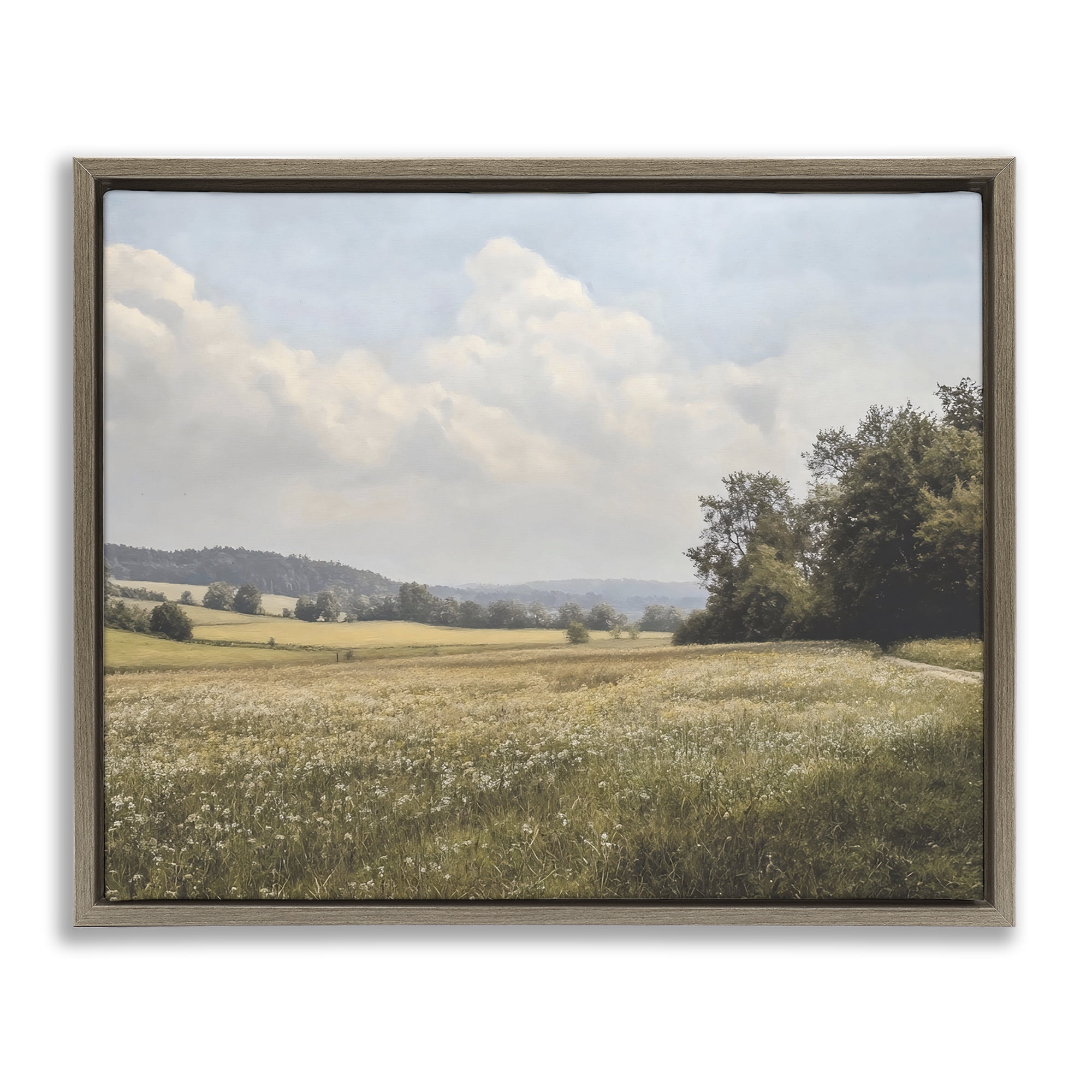 Stupell Industries Summer Landscape Cloudy Meadow Brown Framed Floater Canvas Wall Art, design by Franklyn Gregory