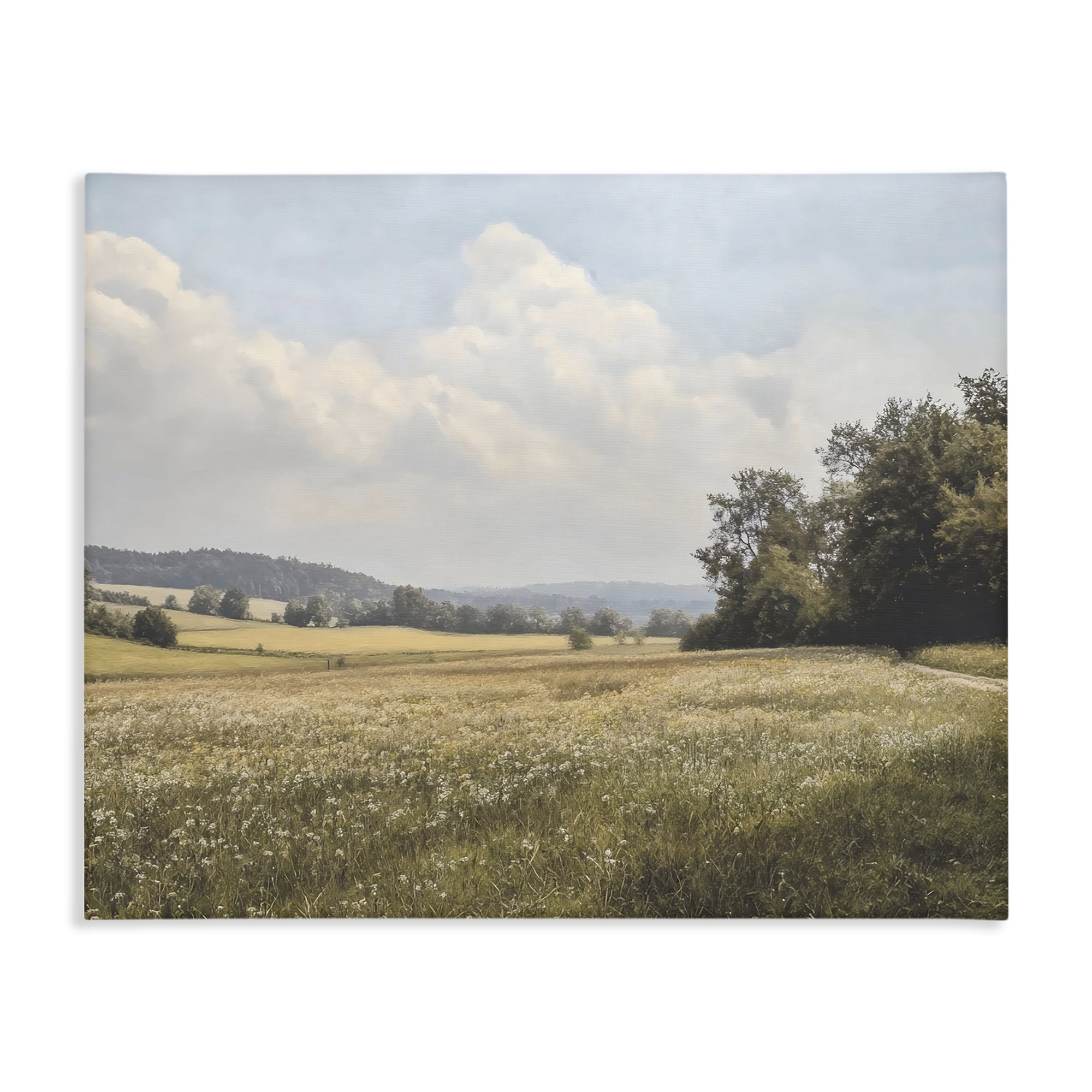 Stupell Industries Summer Landscape Cloudy Meadow Canvas Wall Art, design by Franklyn Gregory