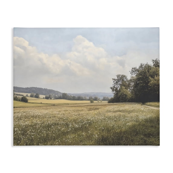 Stupell Industries Traditional Summer Landscape Cloudy Meadow Canvas Art, 20 x 16, by Franklyn Gregory