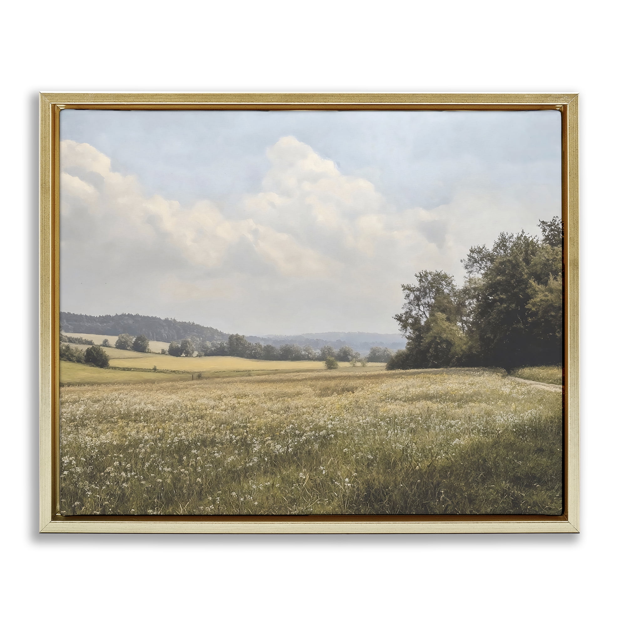 Stupell Industries Summer Landscape Cloudy Meadow Gold Framed Floater Canvas Wall Art, design by Franklyn Gregory
