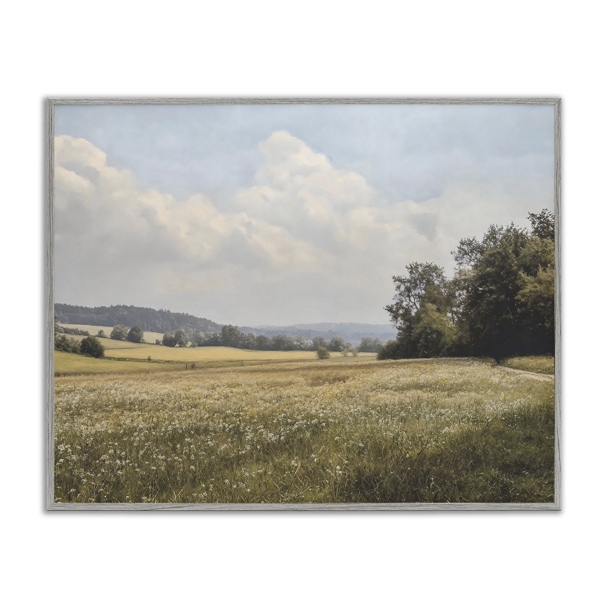 Stupell Industries Summer Landscape Cloudy Meadow Gray Framed Giclee Art, design by Franklyn Gregory