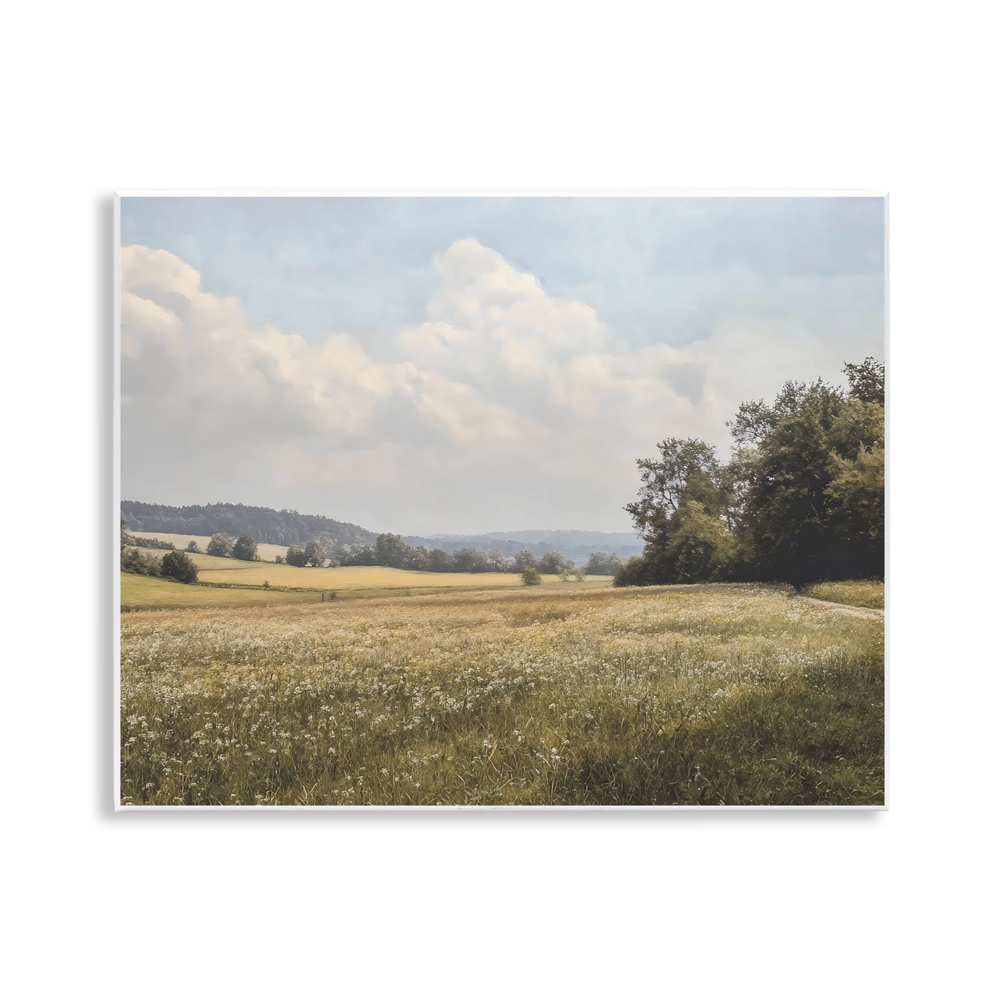 Stupell Industries Summer Landscape Cloudy Meadow Wall Plaque Art, design by Franklyn Gregory