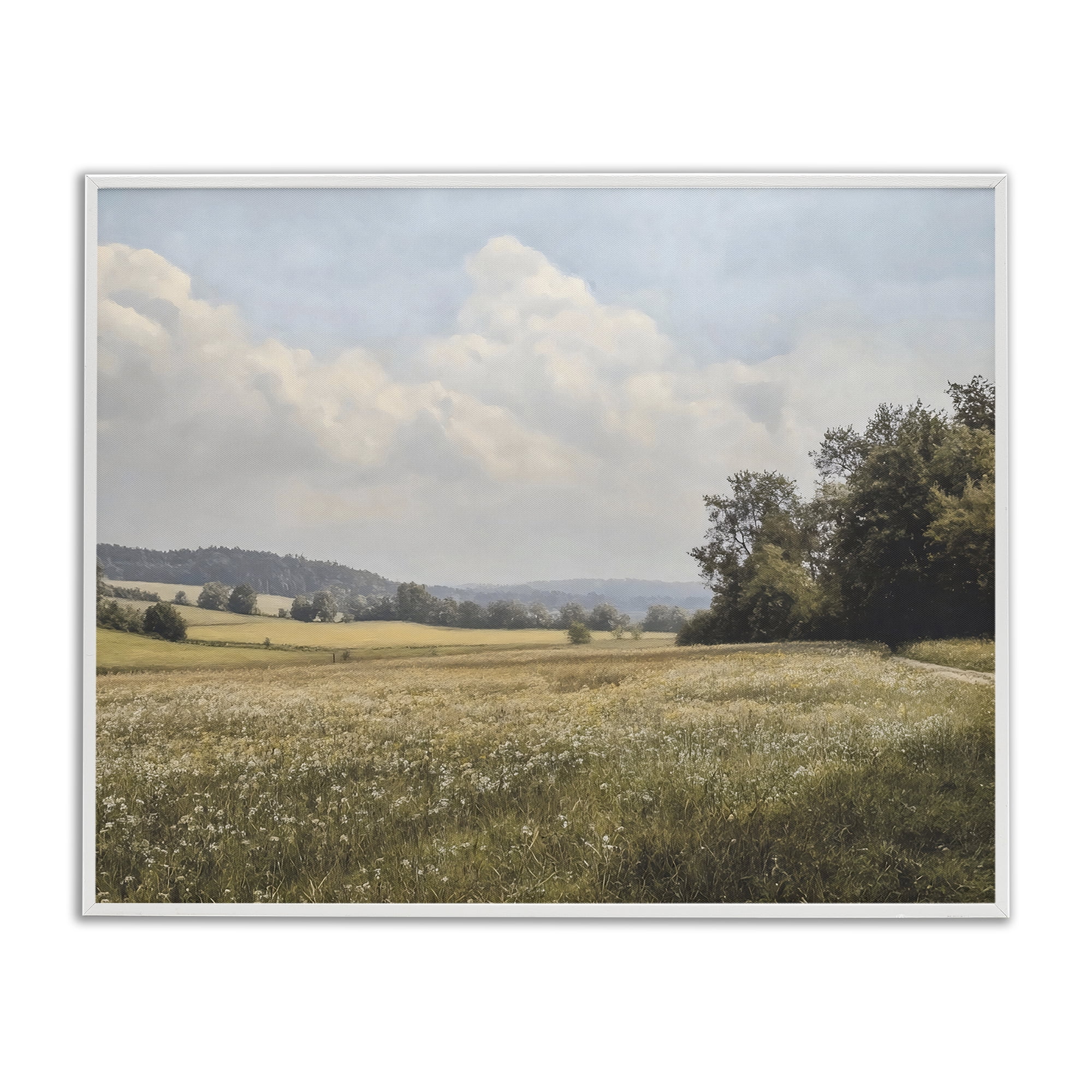 Stupell Industries Summer Landscape Cloudy Meadow White Framed Giclee Art, design by Franklyn Gregory